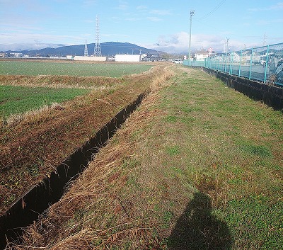 【現場直行】「今週中に！」の声に応えて。朝イチの土手草刈りからスタート！（津市）