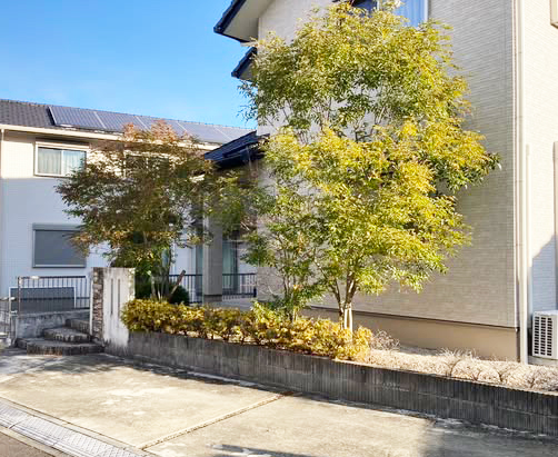 剪定作業 施工Before写真