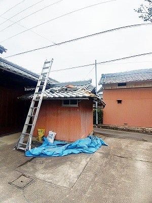 連休明け、瓦の上からリスタート。
