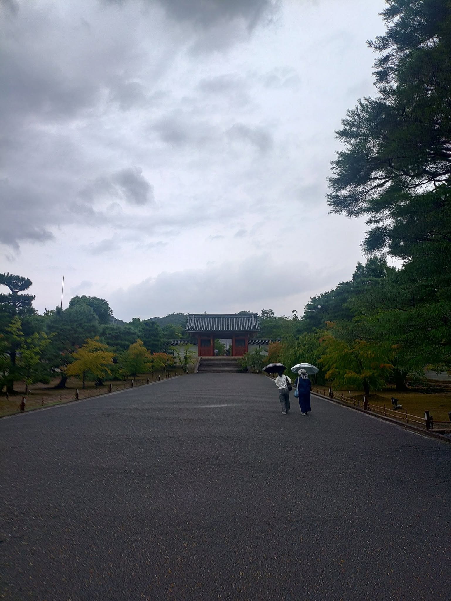 半日休みの仁和寺参拝、まさかの大雨＆雷落ちました