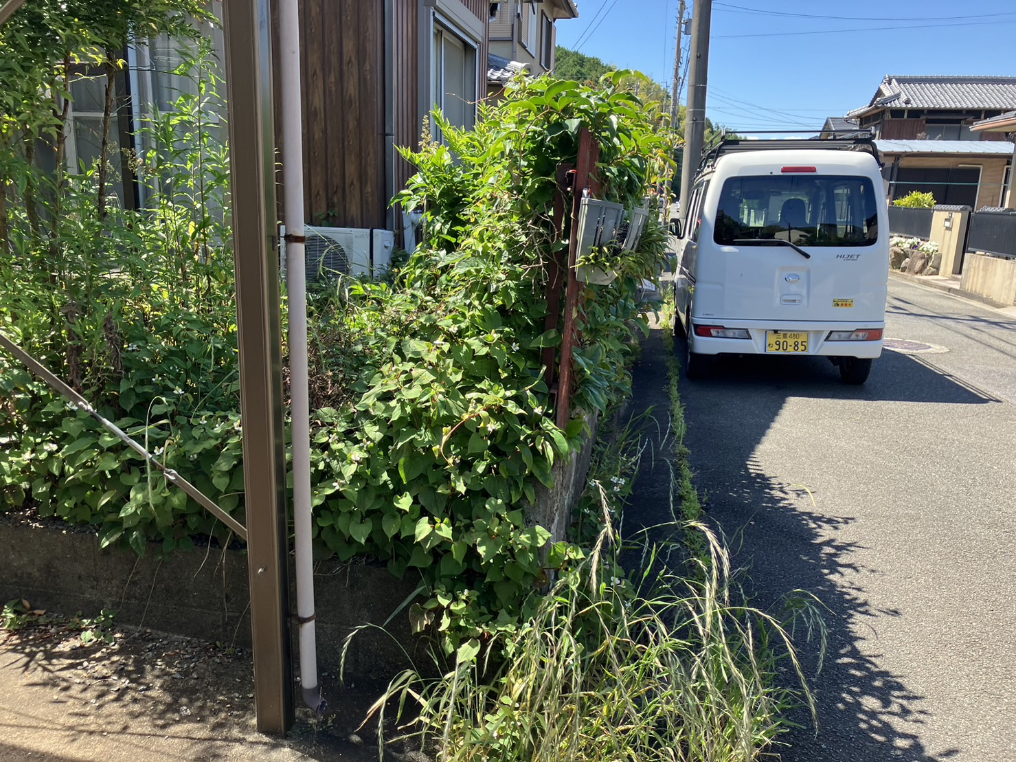 津市　敷地除草・庭木剪定工事 施工Before写真