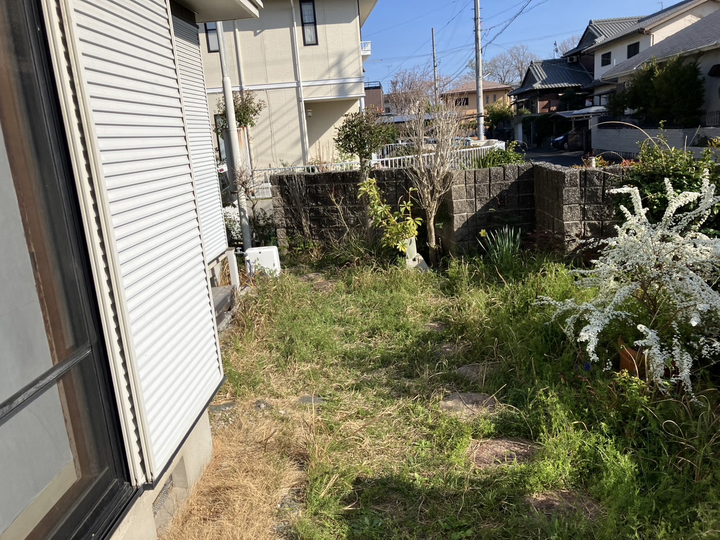 津市　庭改修工事 施工Before写真